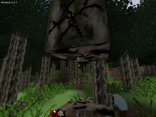 That jungle is so huge !